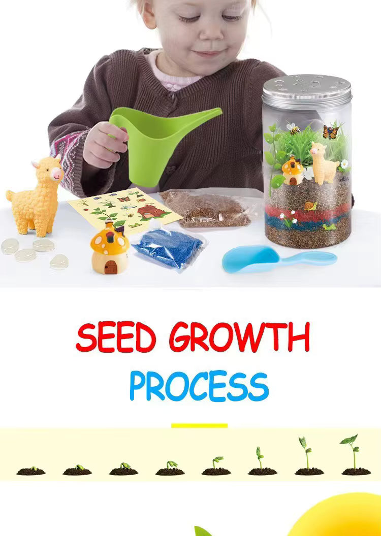 Kids DIY Glow Terrarium Kit